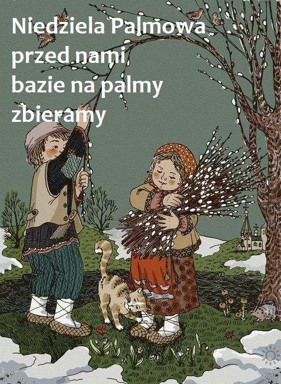 Młodzież zbiera bazie na zrobienie palmy